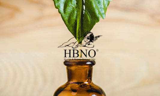 Benefits of Tea Tree Essential Oil